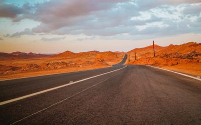 Feel the Road Vibes: Discover the Best Road Trip Playlists for Different Moods!