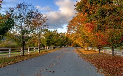 Discover the 10 Most Breathtaking Fall Foliage Road Trip Routes for an Unforgettable Adventure!
