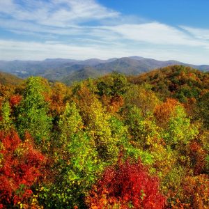 Georgia south east
