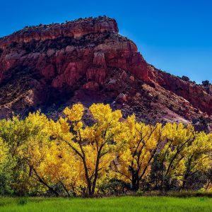 New Mexico southwest