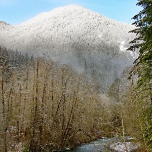Olympic Peninsula Loop