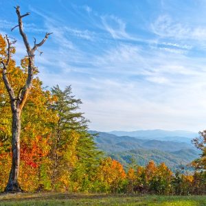 Tennessee Smokey Mountains