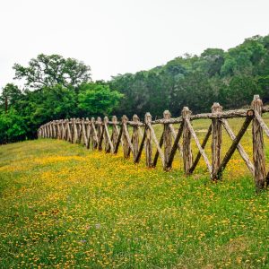 hill country