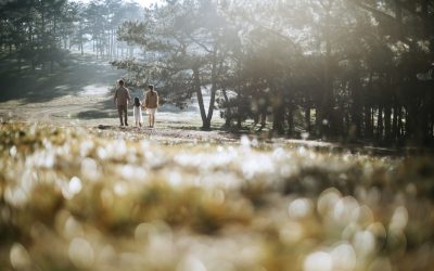The Ultimate Road Trip Checklist for Family Adventures