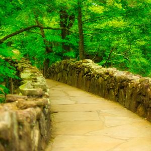 rock city
