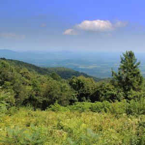 Skyline Drive, Virginia